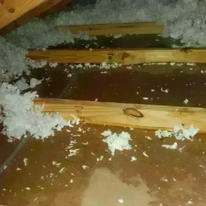 Attic Water Damage in Richfield, WI