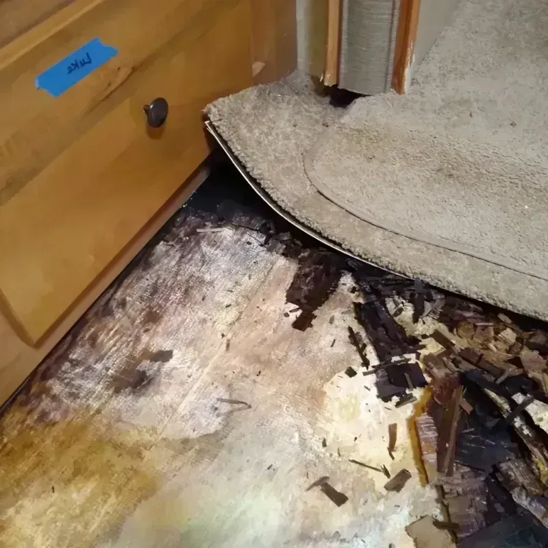 Wood Floor Water Damage in Richfield, WI